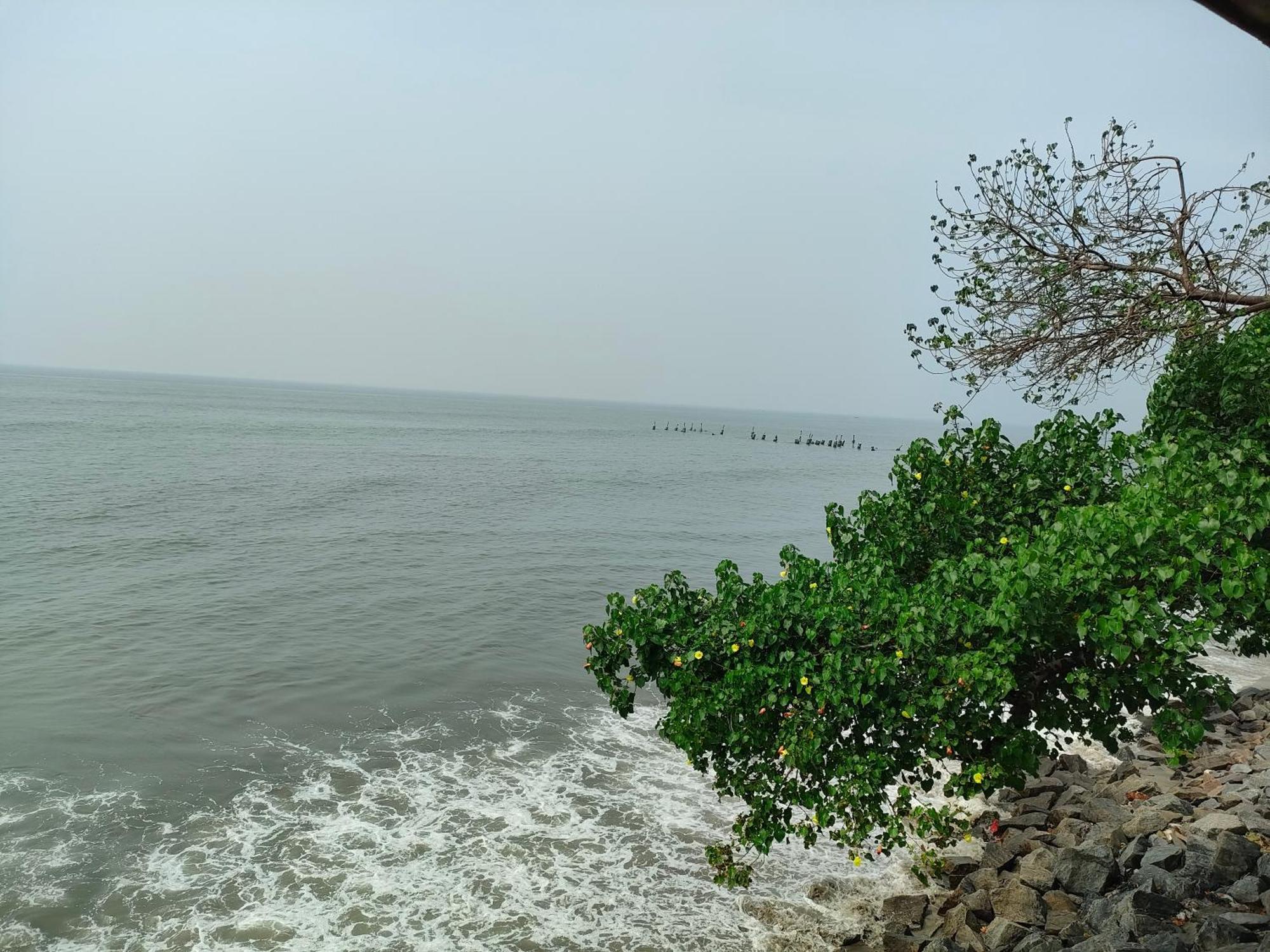 Coastal Den Homestay Pallipuram Екстериор снимка